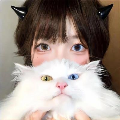 孤独的美食家 第六季